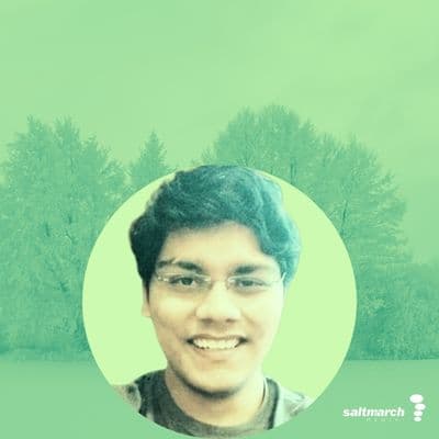 Guardians of the Gateway: Battling SMS Fraud in Real Time